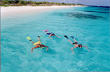 snorkelbeach