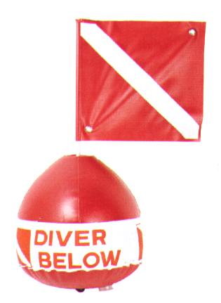 Inflatable Float and Flag
