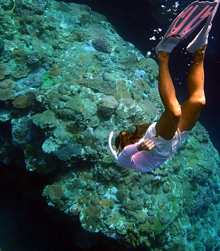 snorkeler