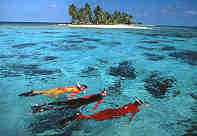 snorkeling